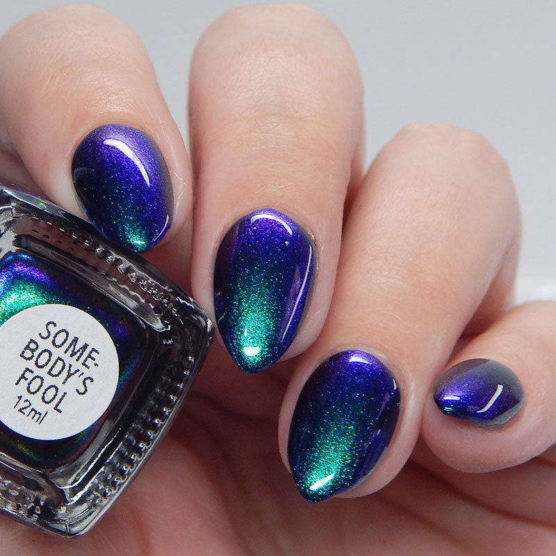 Somebody’s Fool image 10