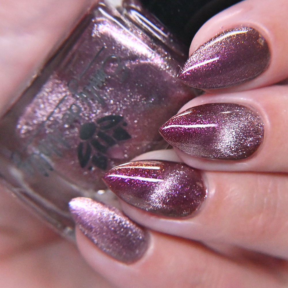 Dreaming Backwards image 20