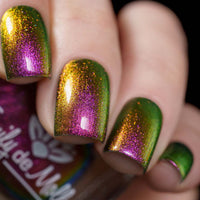 Current Events image 10