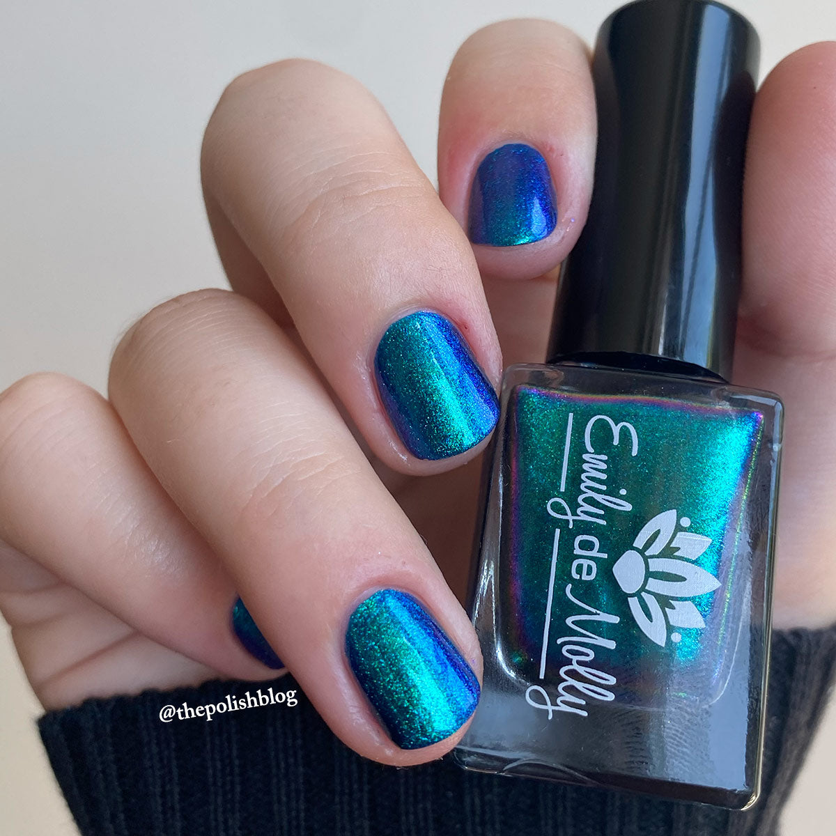 Somebody’s Fool image 15