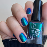 Somebody’s Fool image 15