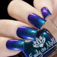 Somebody’s Fool image 7