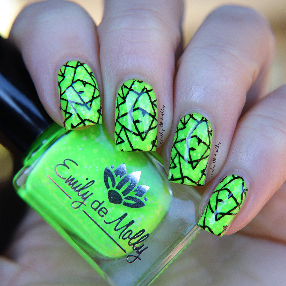 EDM31 Nail Stamping Plate image 4