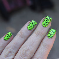 Nail Stamping Kit image 6