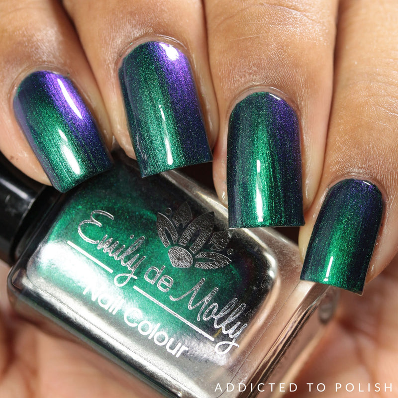 Shallow Depths image 5