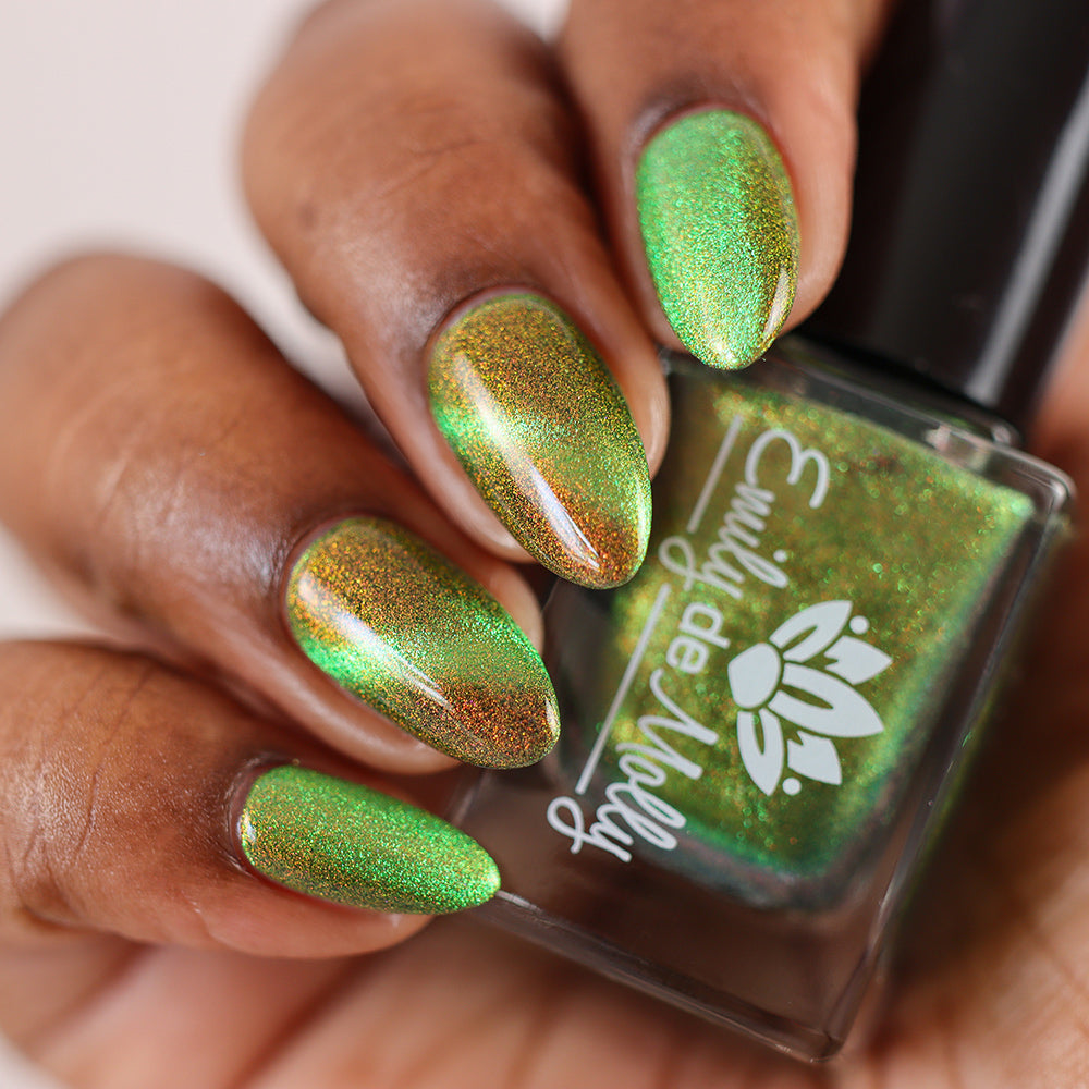 Forest Floor image 3