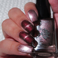 Dreaming Backwards image 1