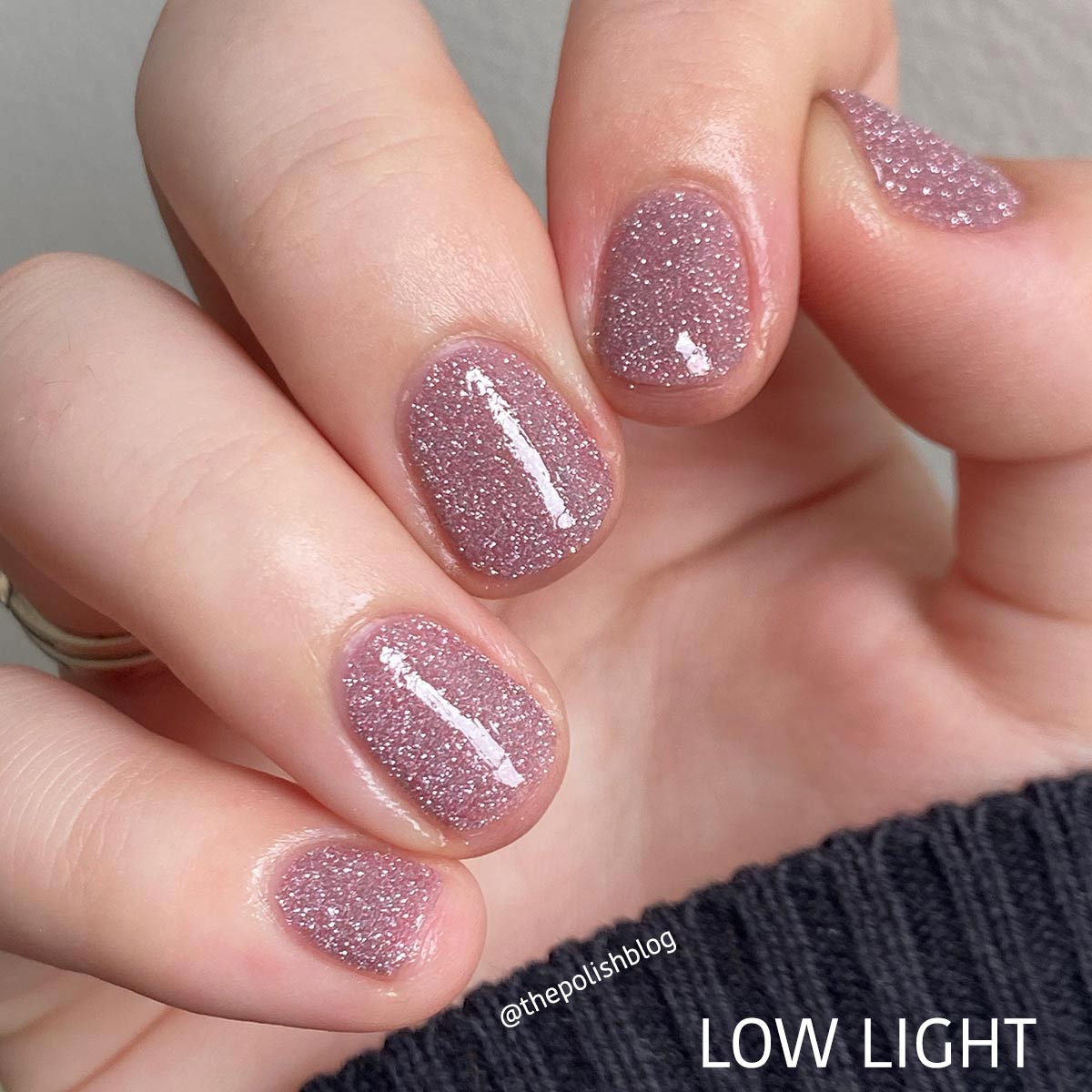 Quiet And Daring image 4