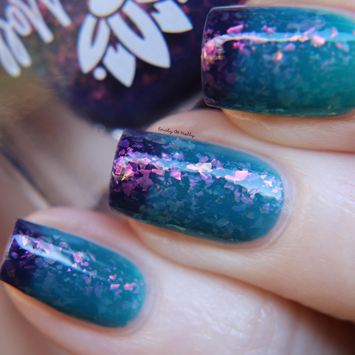 A Spot In The Woods image 7