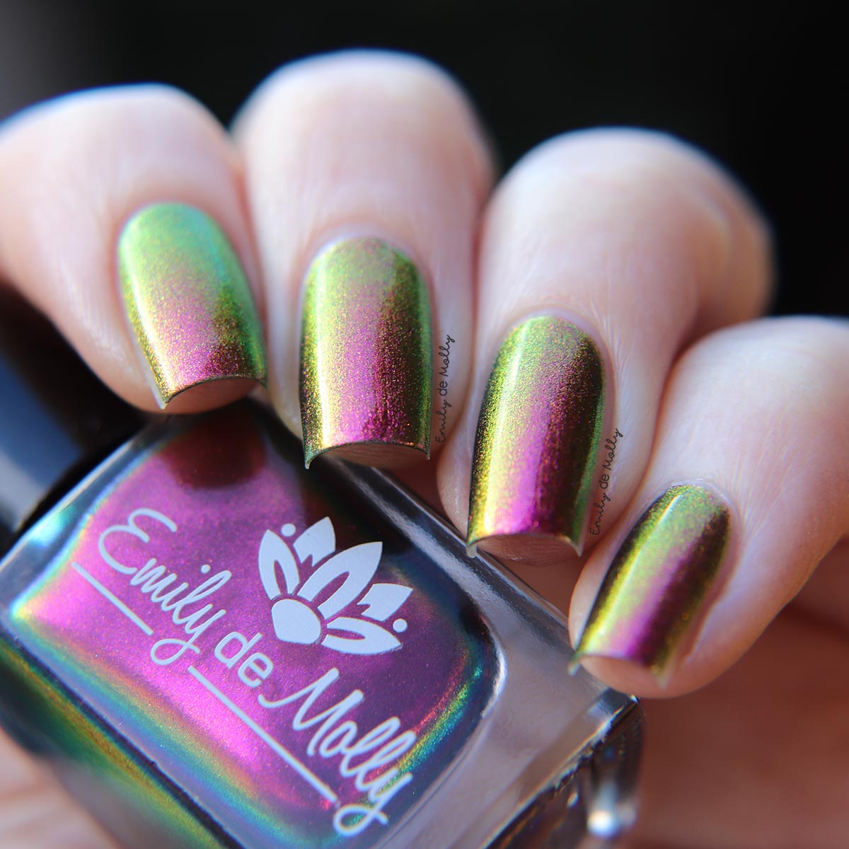 Current Events image 2