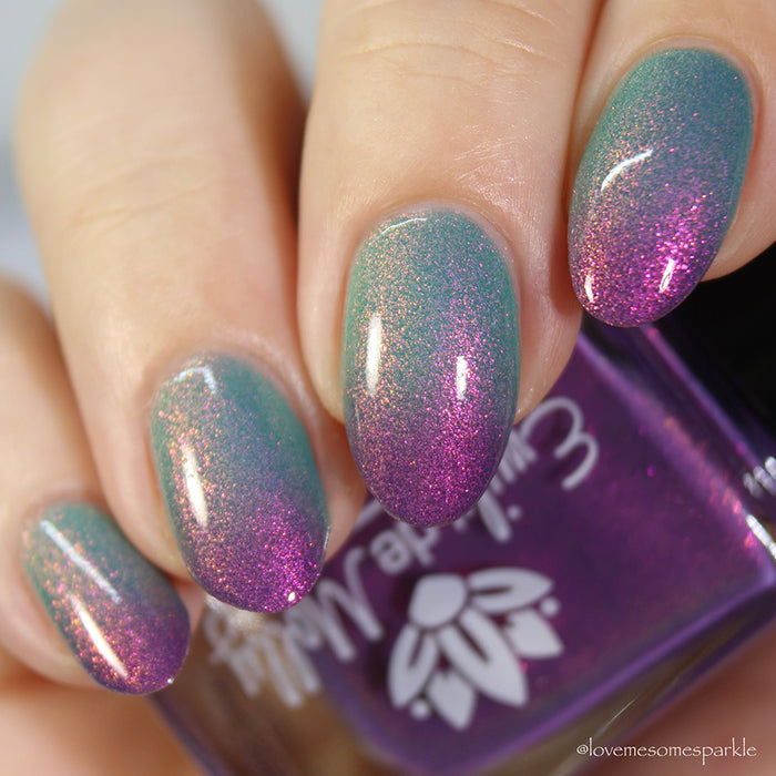 Over And Over image 0