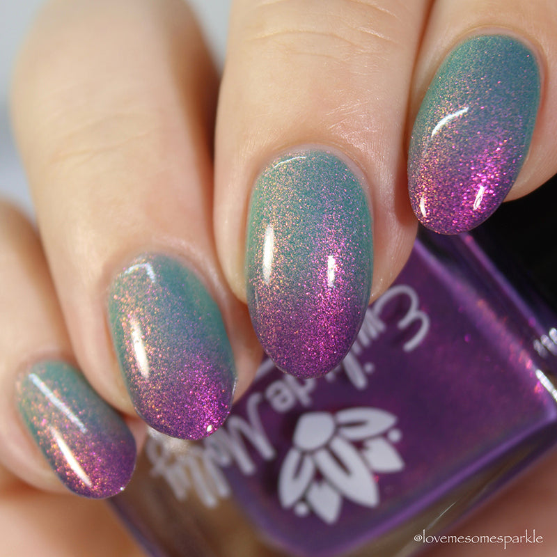 Over And Over image 0