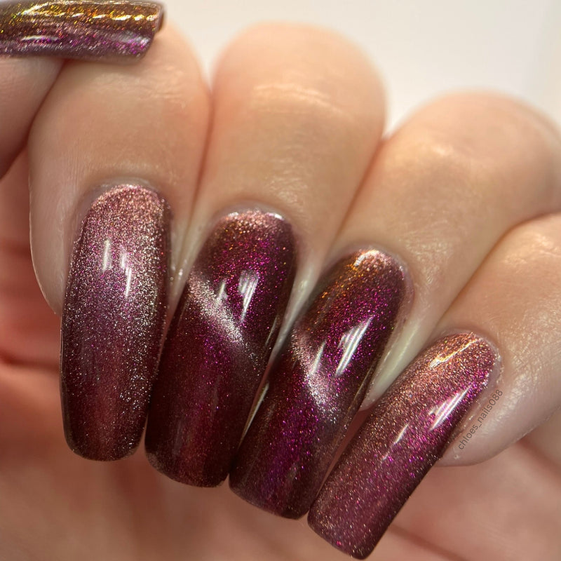 Dreaming Backwards image 16