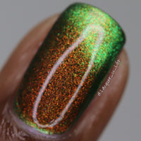 Forest Floor image 16