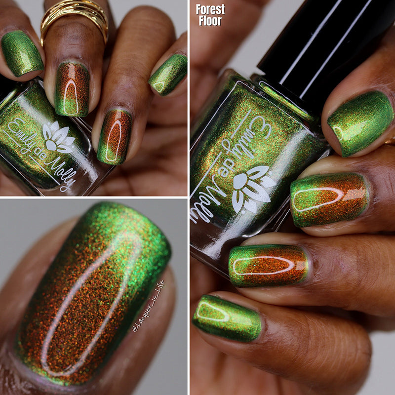 Forest Floor image 17