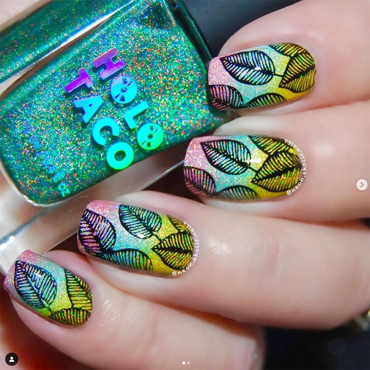 EDM43 Nail Stamping Plate image 1