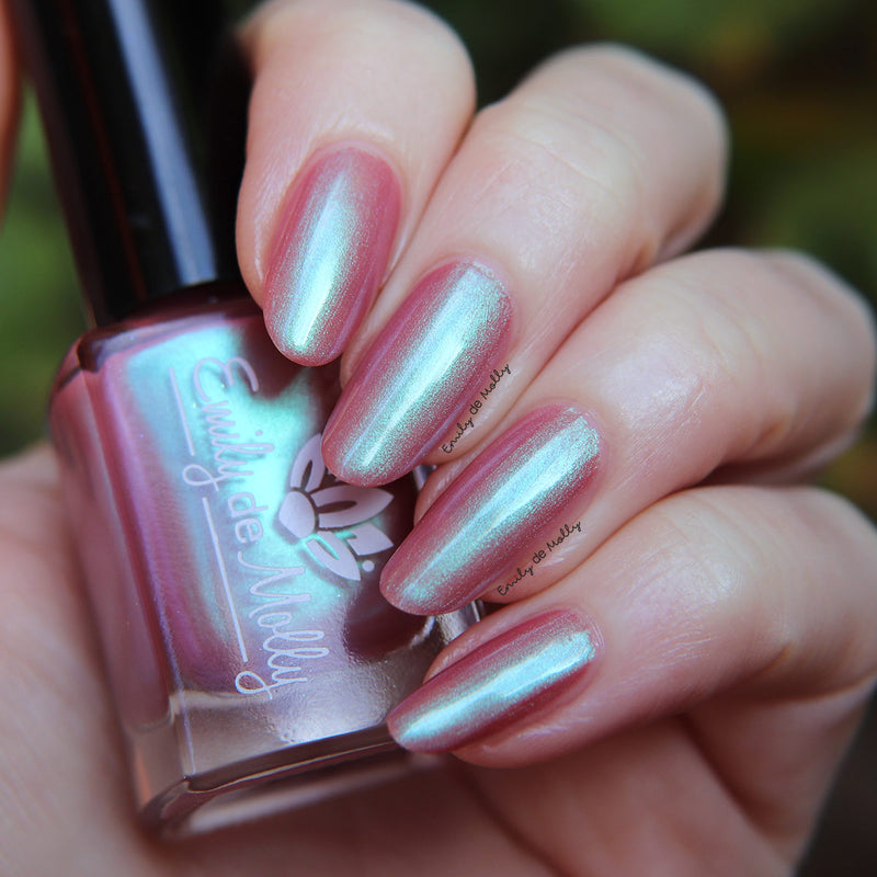 From What You Know image 8