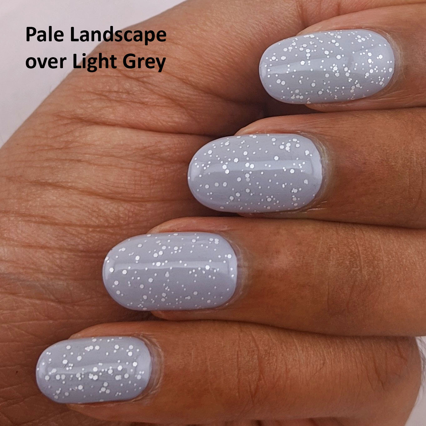 Nail Polish Comparison - Four Shades Of Grey | Lenallure